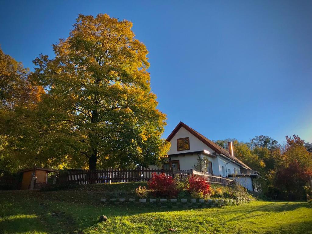 Ferienhaus Koller Güssing Extérieur photo