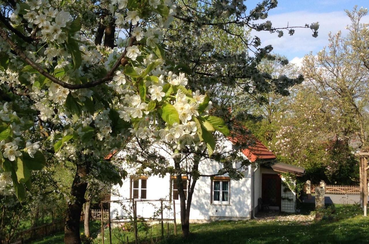 Ferienhaus Koller Güssing Extérieur photo